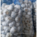 Sell garlic/orange/potato/onion packing Mesh Bag